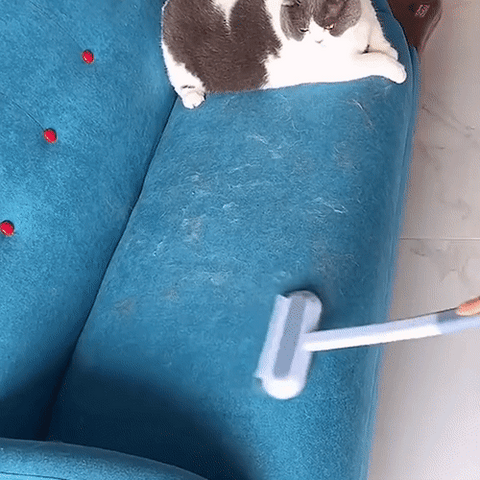 3 az 1-ben Háziállat Szőreltávolító - PetClean Pro