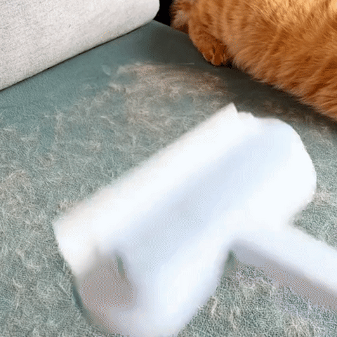 3 az 1-ben Háziállat Szőreltávolító - PetClean Pro