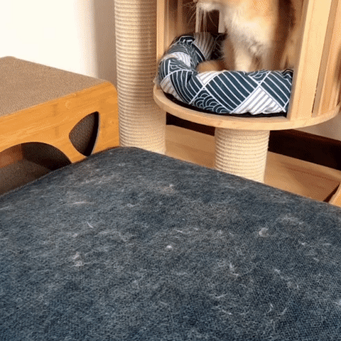 3 az 1-ben Háziállat Szőreltávolító - PetClean Pro