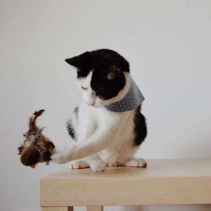 Interaktív Macskajáték - ChirpBird