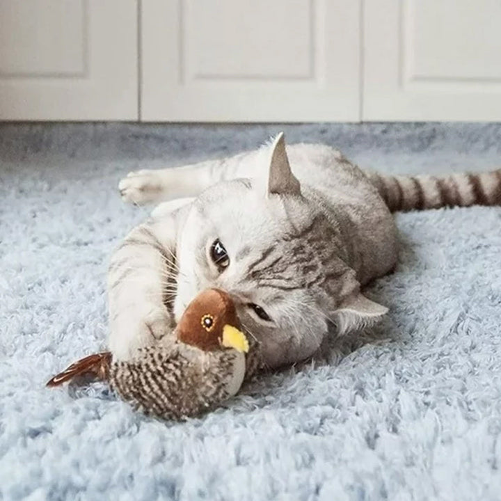 Interaktív Macskajáték - ChirpBird