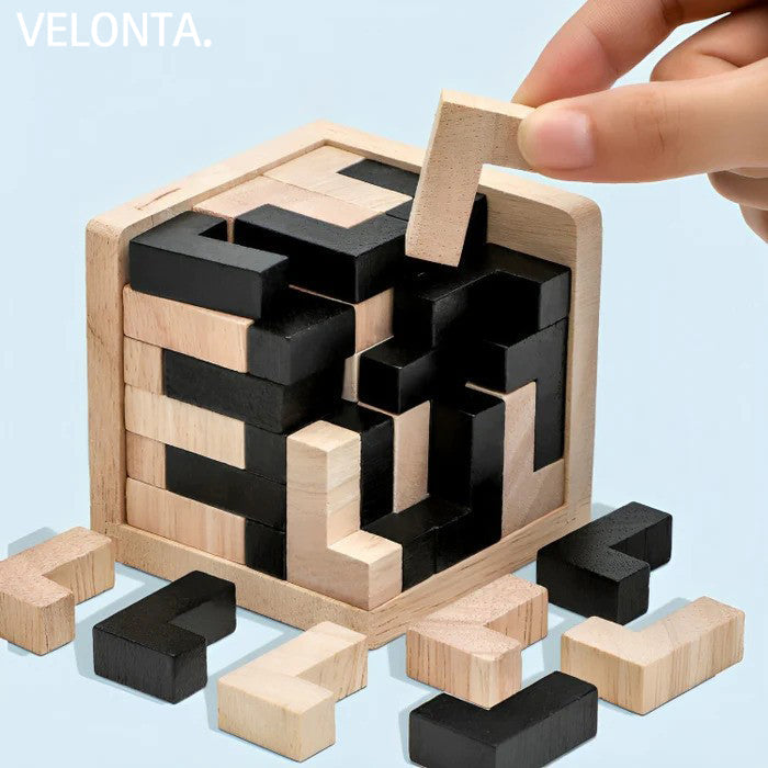 3D Fa Wooden Brain Teaser - PuzzleMaster