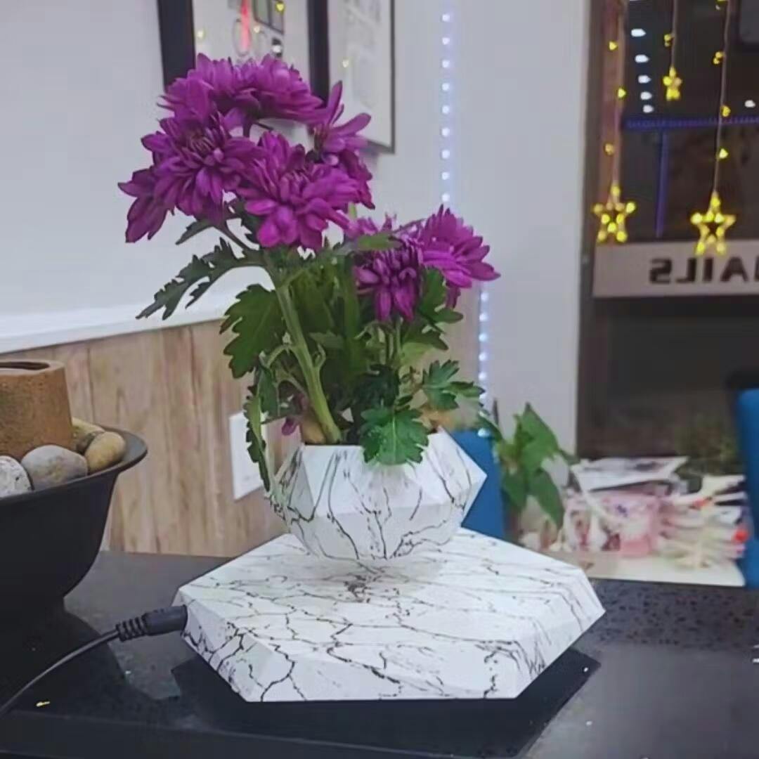 Lebegő Növénytartó Mágneses Lebegéssel - Liva