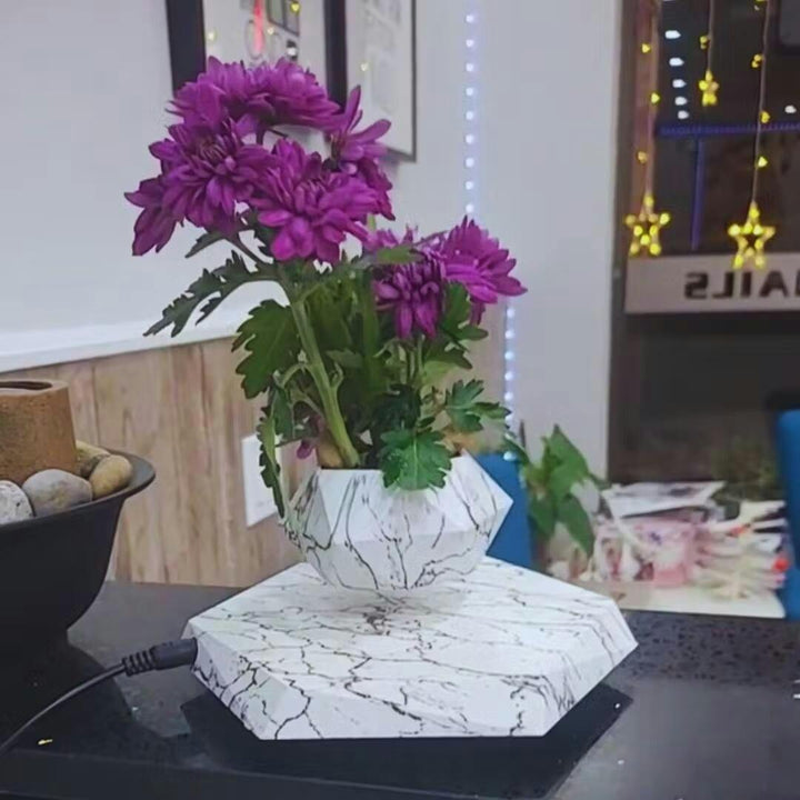 Lebegő Növénytartó Mágneses Lebegéssel - Liva