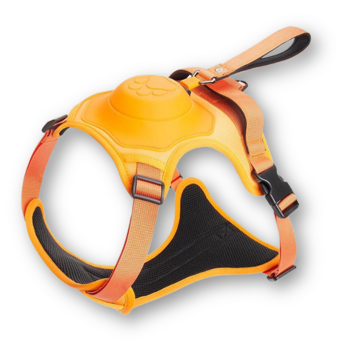 Kutyanyakörv és Póráz Egyben - FlexiLead