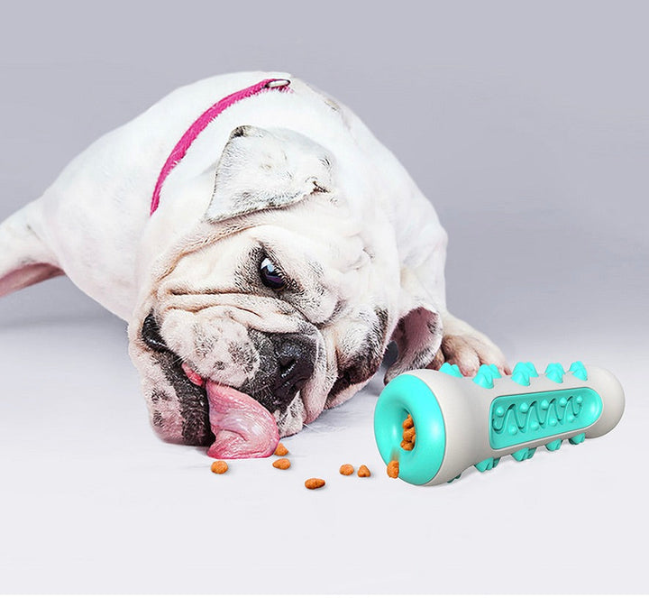 Fogkő eltávolító rágójáték kutyák számára – Chewly