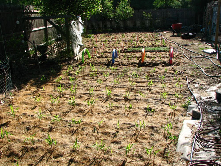 Frissítő Öntözőrendszer - AquaCool