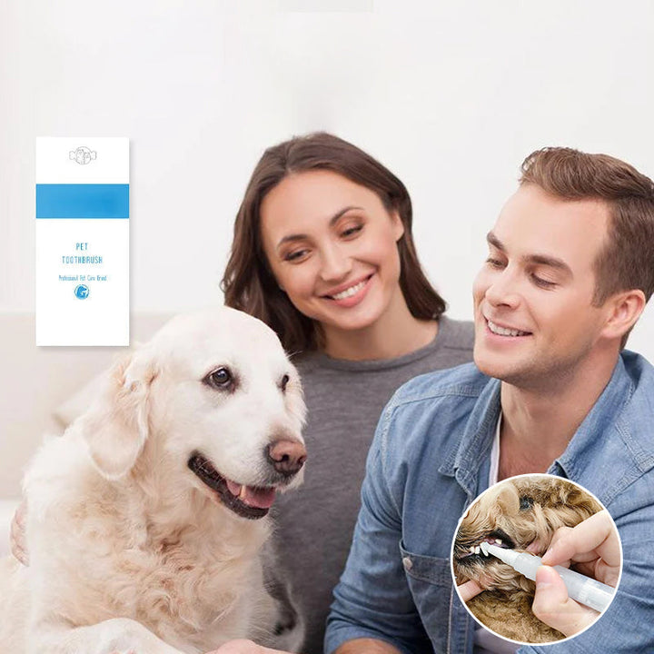 Háziállat Fogkefe Toll - PetSmile