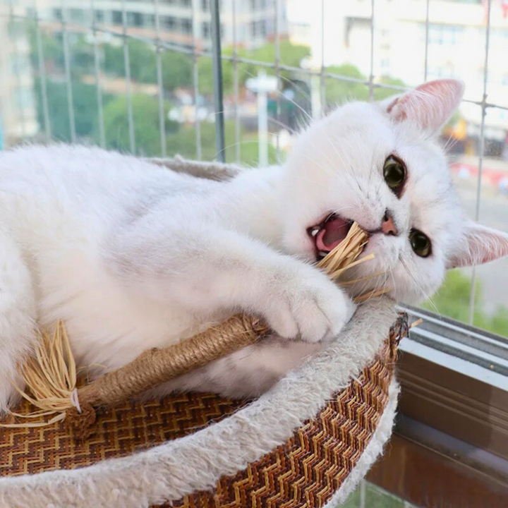 Interaktív Rágcsálók macskáknak - ChewPlay