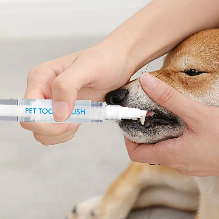 Háziállat Fogkefe Toll - PetSmile