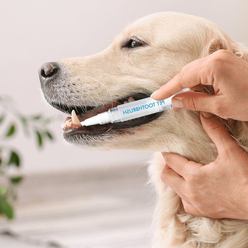 Háziállat Fogkefe Toll - PetSmile