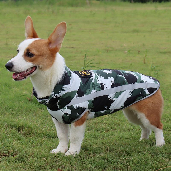 Vízálló télikabát kutyák számára - StormGuard