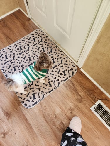 Vízálló házikedvenc szőnyeg - PetPaws Comfortmat