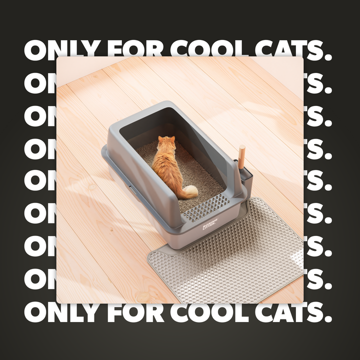 Rozsdamentes Acél Macskaalma – SteelClean