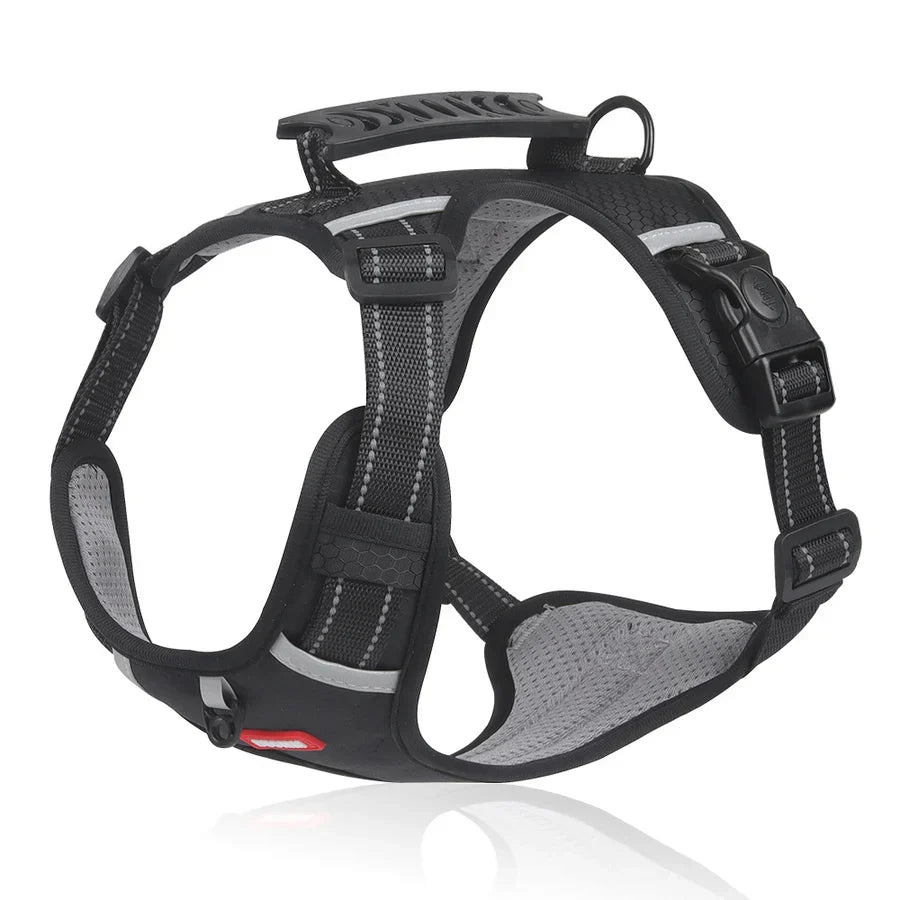 Stabil és Kényelmes Kutyaharness - ActivePup™