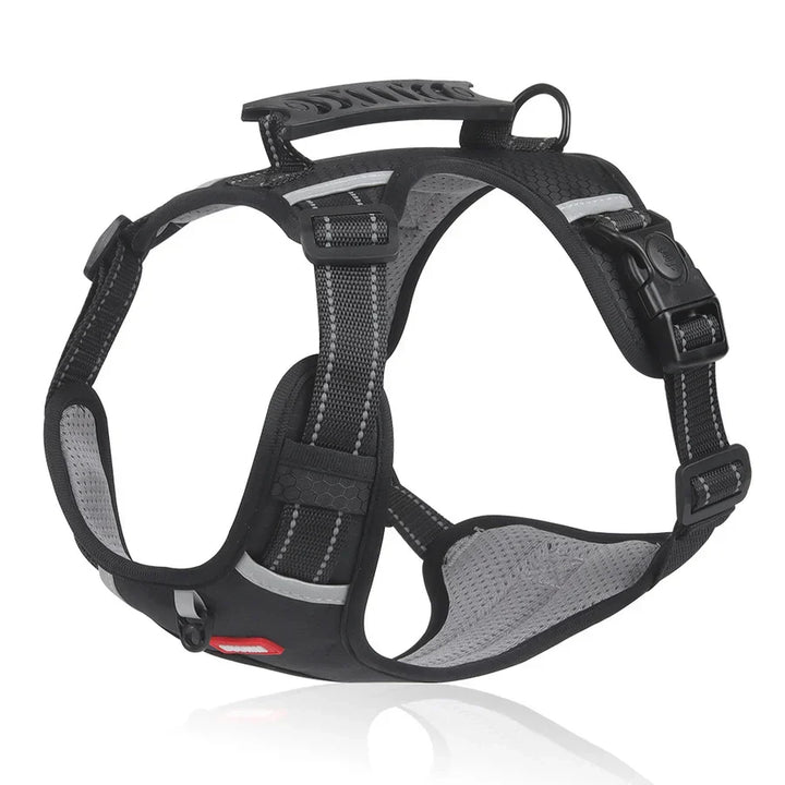 Stabil és Kényelmes Kutyaharness - ActivePup™