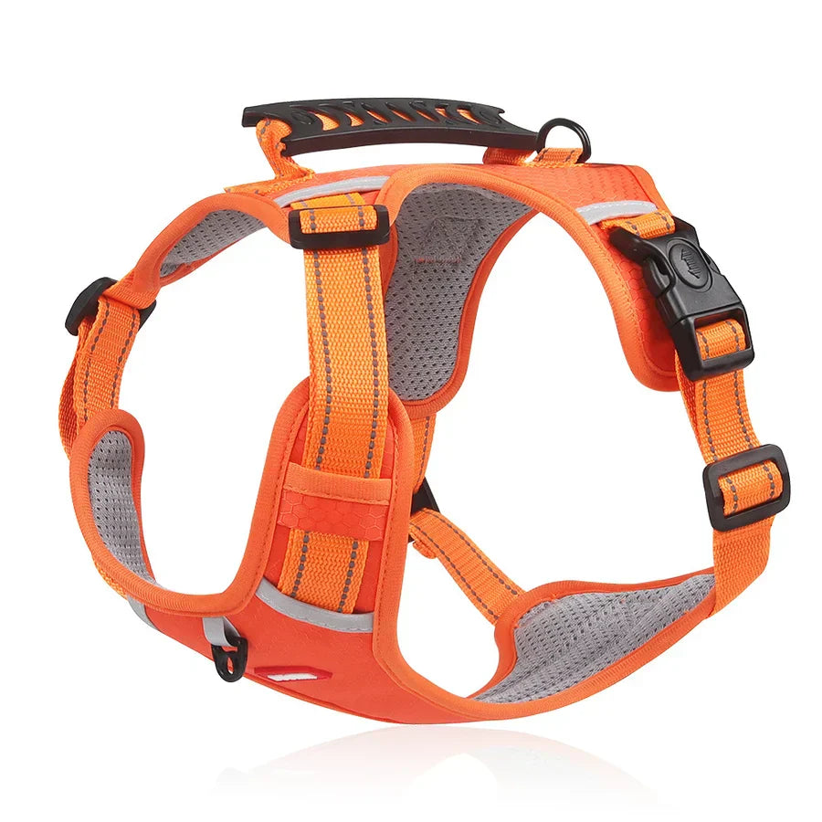 Stabil és Kényelmes Kutyaharness - ActivePup™