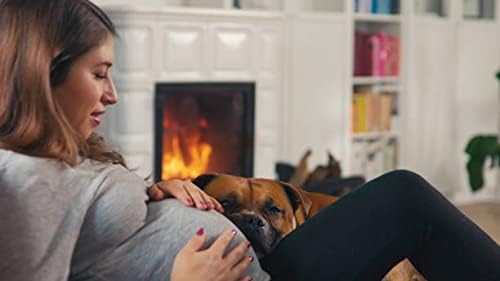 LuxeFit Magas Derékú Leggings - Selene