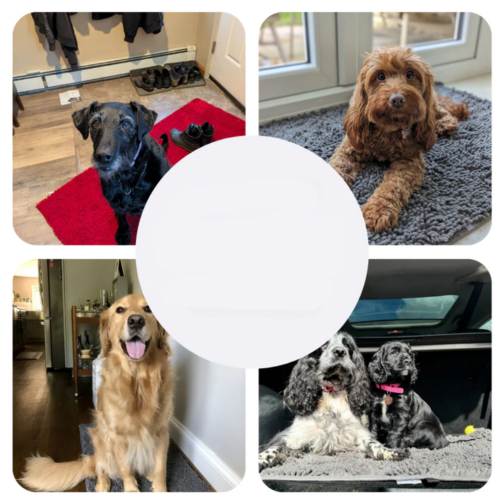 Szuper felszívó kutyaszőnyeg – PawMat