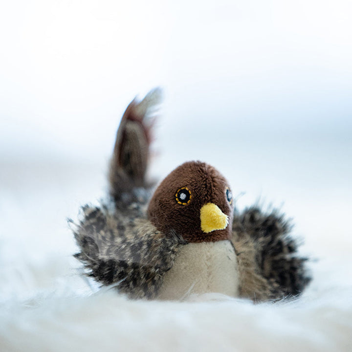Interaktív Macskajáték - ChirpBird