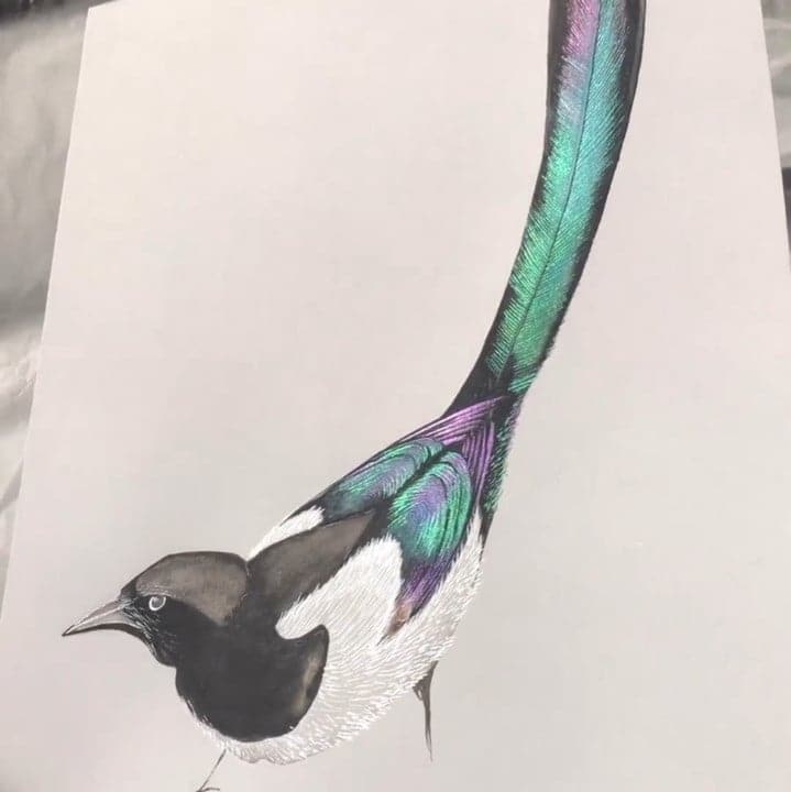 Több színű akvarell festék készlet - ColorCrafter