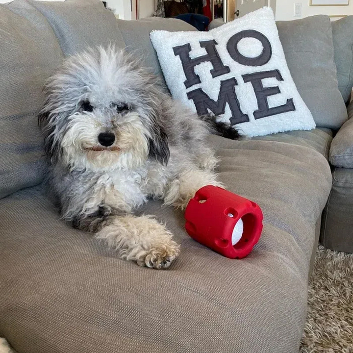 Fogszerető Játék Kutyáknak - BounceChew