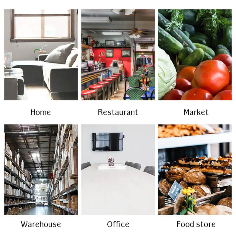 Automatikus egérfogó - AutoCatch