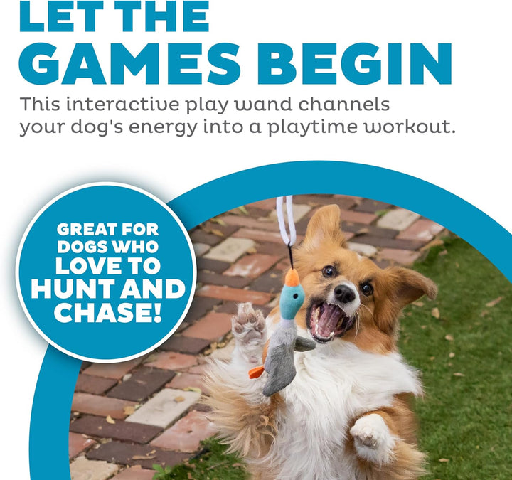 Tail Teaser Kutyajáték - Tökéletes játékhoz és mozgáshoz!