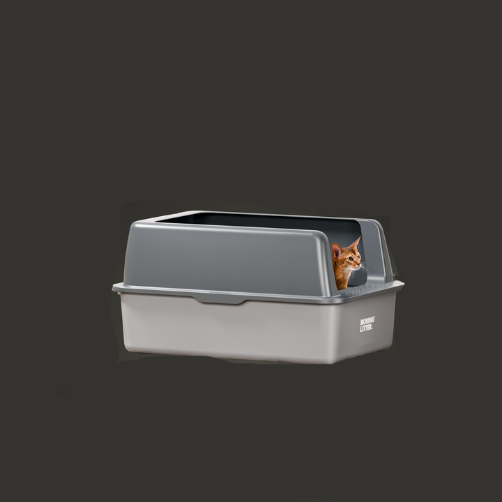 Rozsdamentes Acél Macskaalma – SteelClean