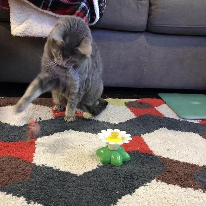 Interaktív Macskajáték - Purrfect Play