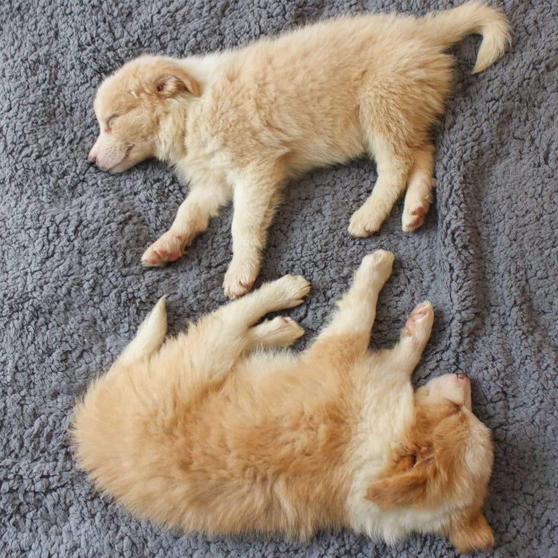 Puha Kiskutya Takaró - SnuggleFur Poliészter