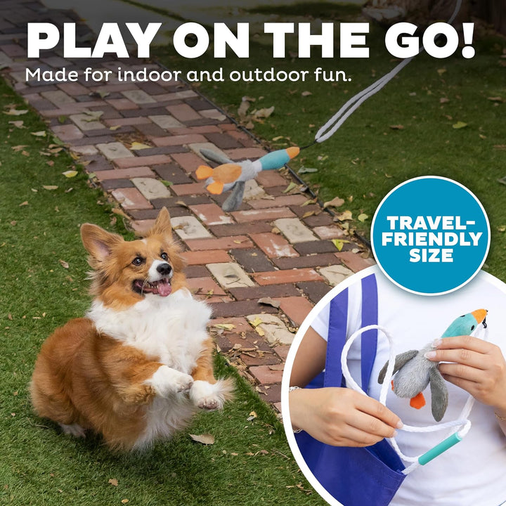 Tail Teaser Kutyajáték - Tökéletes játékhoz és mozgáshoz!