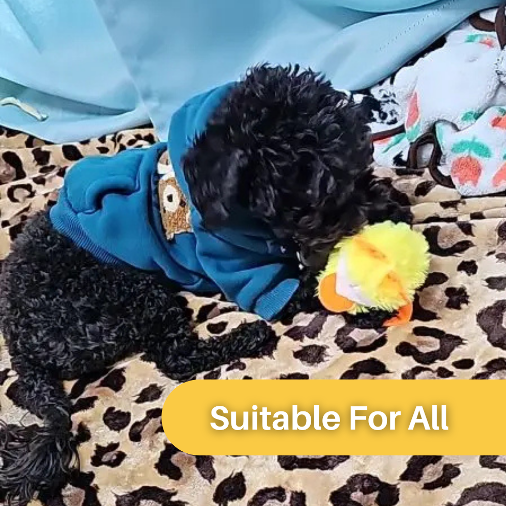 Flappoló Kacsa Játék Macskáknak - DuckDash™ (1+1 INGYEN)