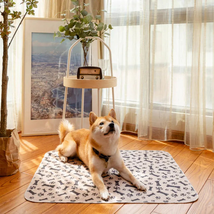 Vízálló házikedvenc szőnyeg - PetPaws Comfortmat