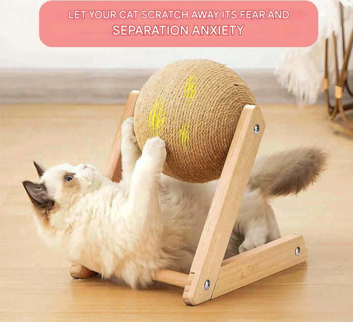 Sokszínű Macskajáték - CatScratch Wonderland