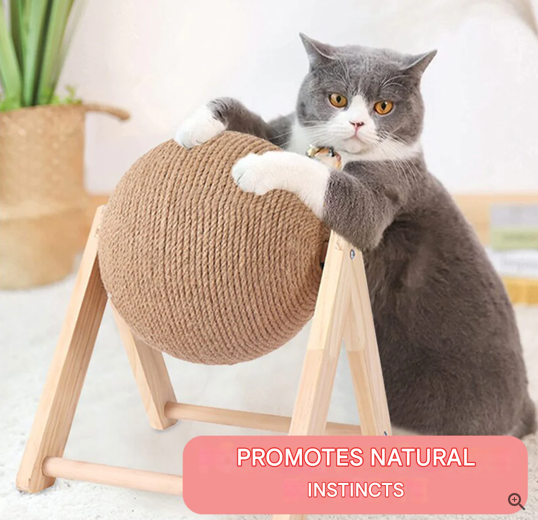 Sokszínű Macskajáték - CatScratch Wonderland