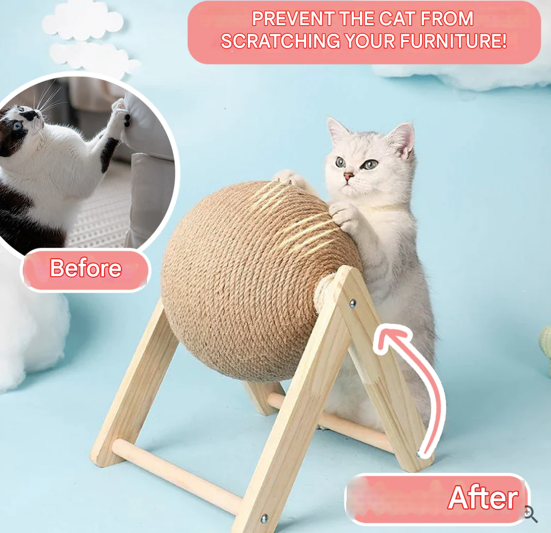 Sokszínű Macskajáték - CatScratch Wonderland