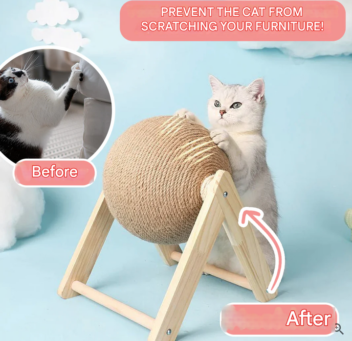 Sokszínű Macskajáték - CatScratch Wonderland