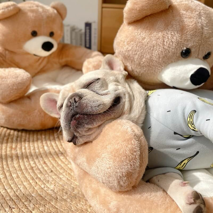 Állítható plüssmedve - SnuggleBear