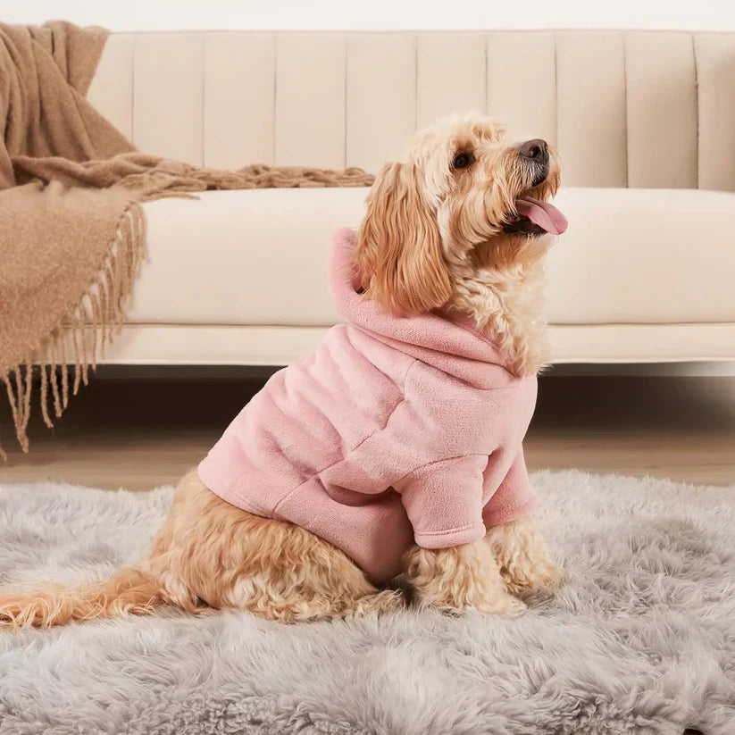 Hoodie szett gazdiknak és kutyáiknak - PawMatch