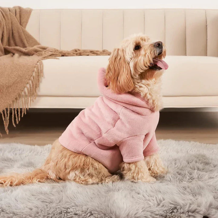 Hoodie szett gazdiknak és kutyáiknak - PawMatch
