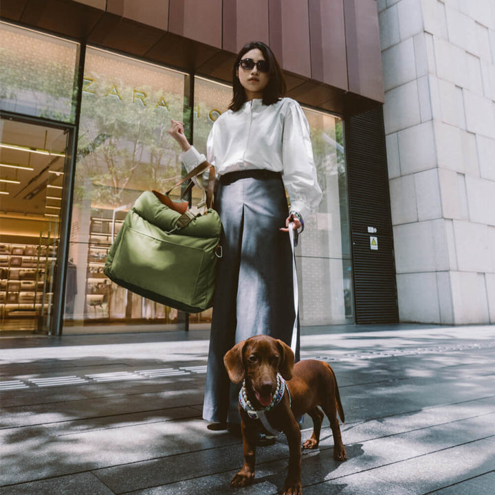 Kényelmes Autósülés Kutyáknak - PawLuxury