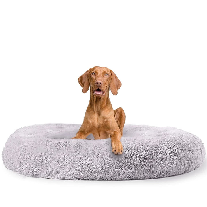 Nyugtató kutyapárna - Snoozy