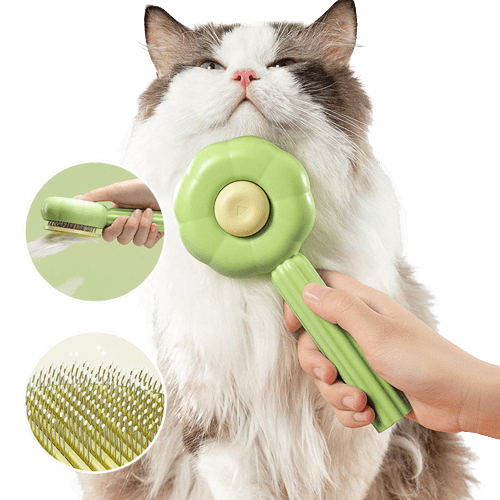 Öntisztító Macska Kefe - PurrfectBrush