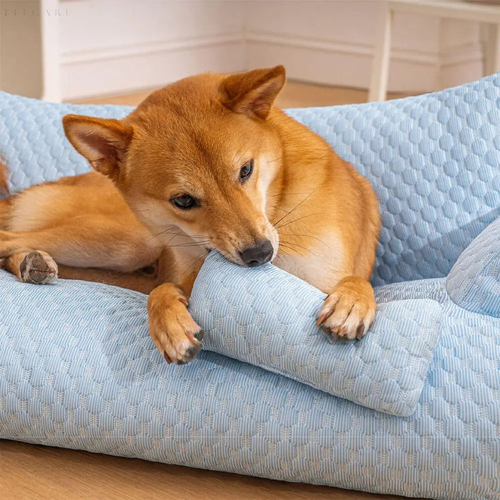 Mosható plüss állat fekhely - CozyPaws