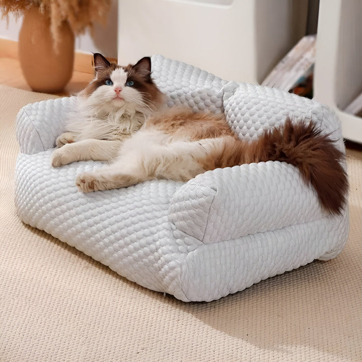 Mosható plüss állat fekhely - CozyPaws