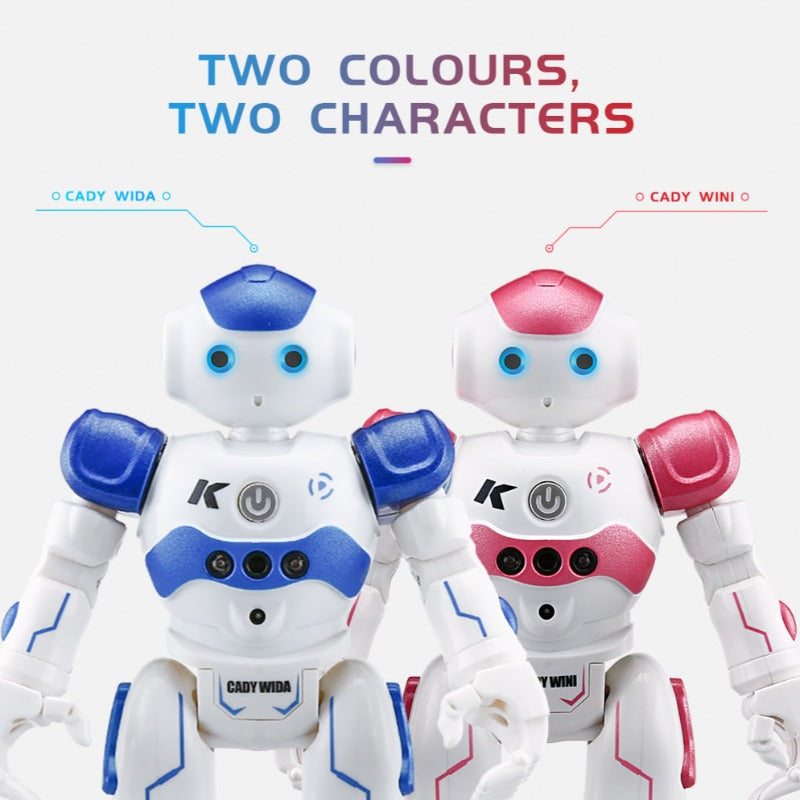 Interaktív Oktatási Robot - NovaBot