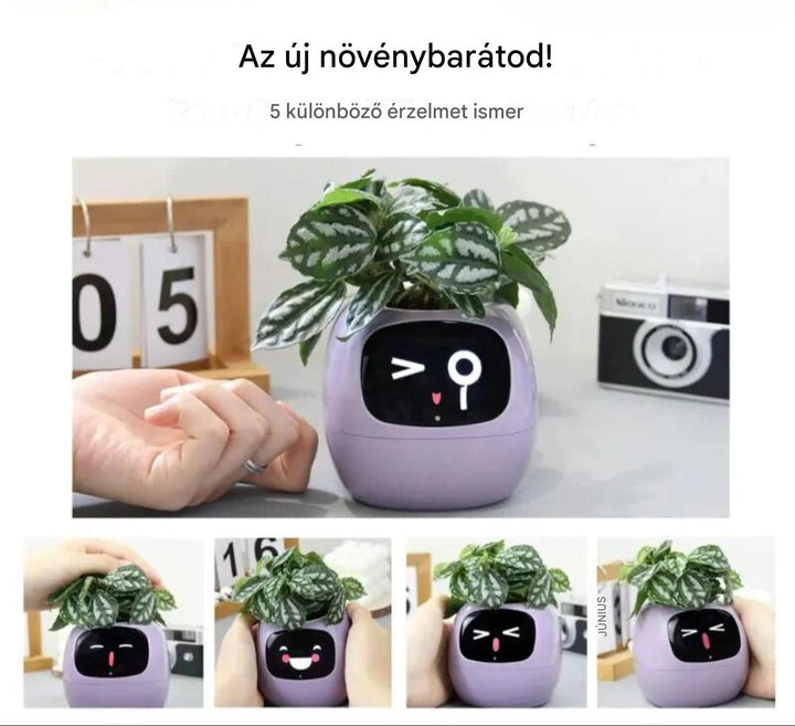 Automatikus okos virágcserép - GreenBuddy SmartPot