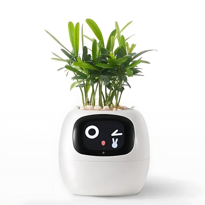 Automatikus okos virágcserép - GreenBuddy SmartPot