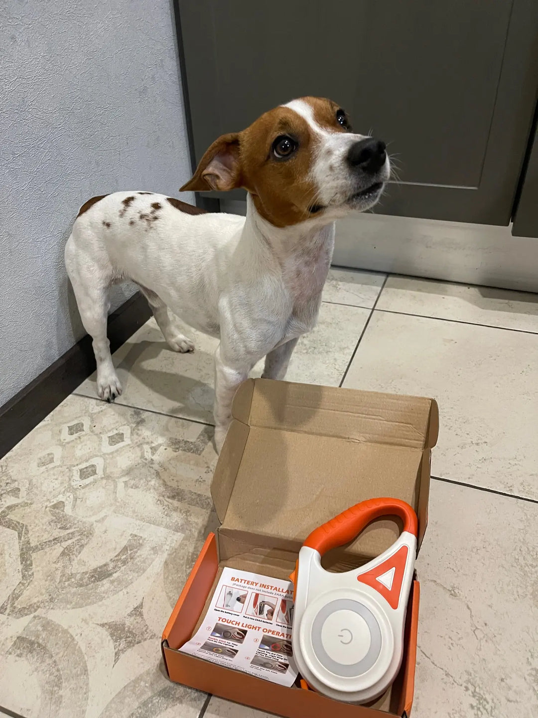 Világító Kutyapóráz Elemlámpával - GlowGuard